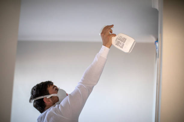 Best Home Mold Removal  in Hanover, IN