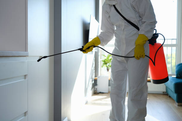 Best Certified Mold Removal  in Hanover, IN
