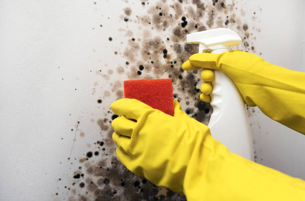 Water Damage Restoration in Hanover, IN